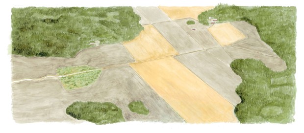 Yksipuolinen peltomaisema