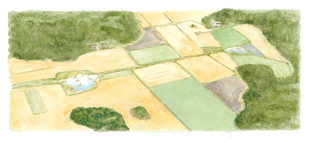 vaihteleva ja monipuolinen peltomaisema, jonka keskellä kosteikko