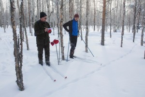 Kaksi hiihtäjää katselee jälkijonoa lumisessa metsässä. / Två skidåkare tittar på en spårlöpa i den snöiga skogen.