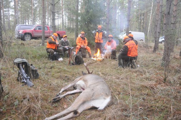 Metsästäjiä nuotiolla. Valkohäntäpeuran ruho.