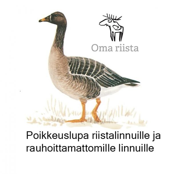 Metsähanhi ja Oma riista logo
