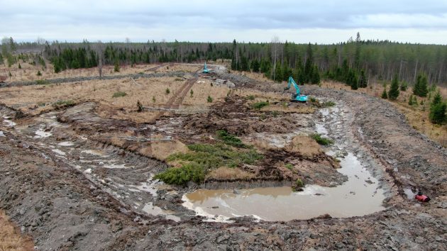 Kosteikon saarekkeiden muotoilu. Kuva: Holtti Hakonen