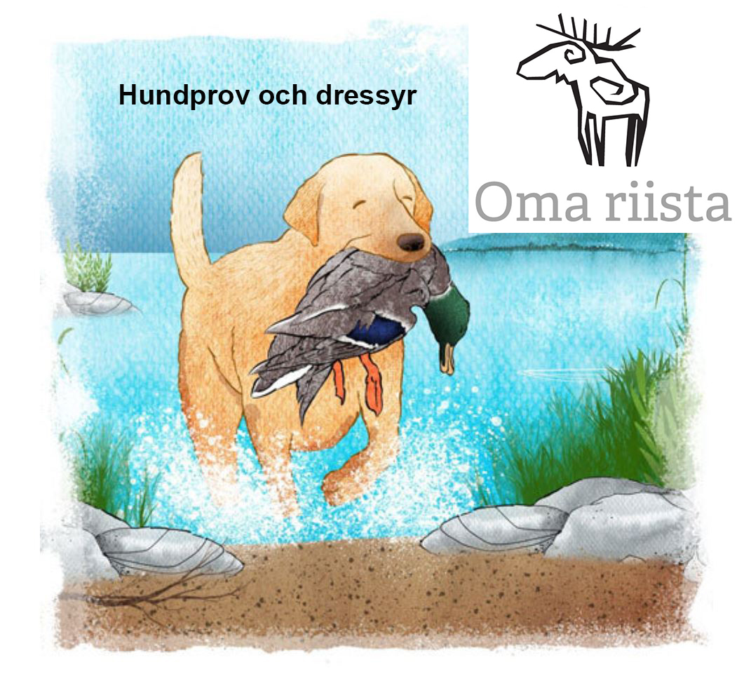 En hund håller en gräsand i munnen. Text: Hundprov och dressyr och Oma riista -logo. 