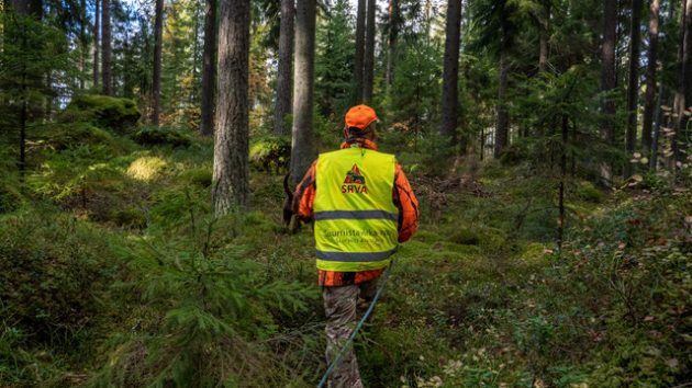Mies kävelee metsässä SRVA-liivi päällään.